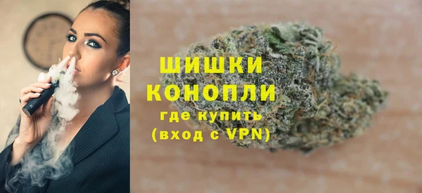 молекула духа Гусев