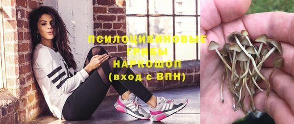 МДПВ Горняк