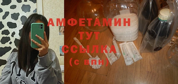 молекула духа Гусев